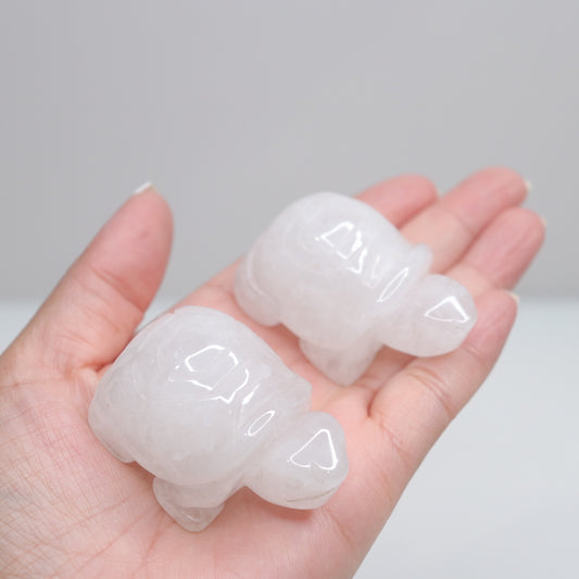 Clear Quartz Turtles | 2”