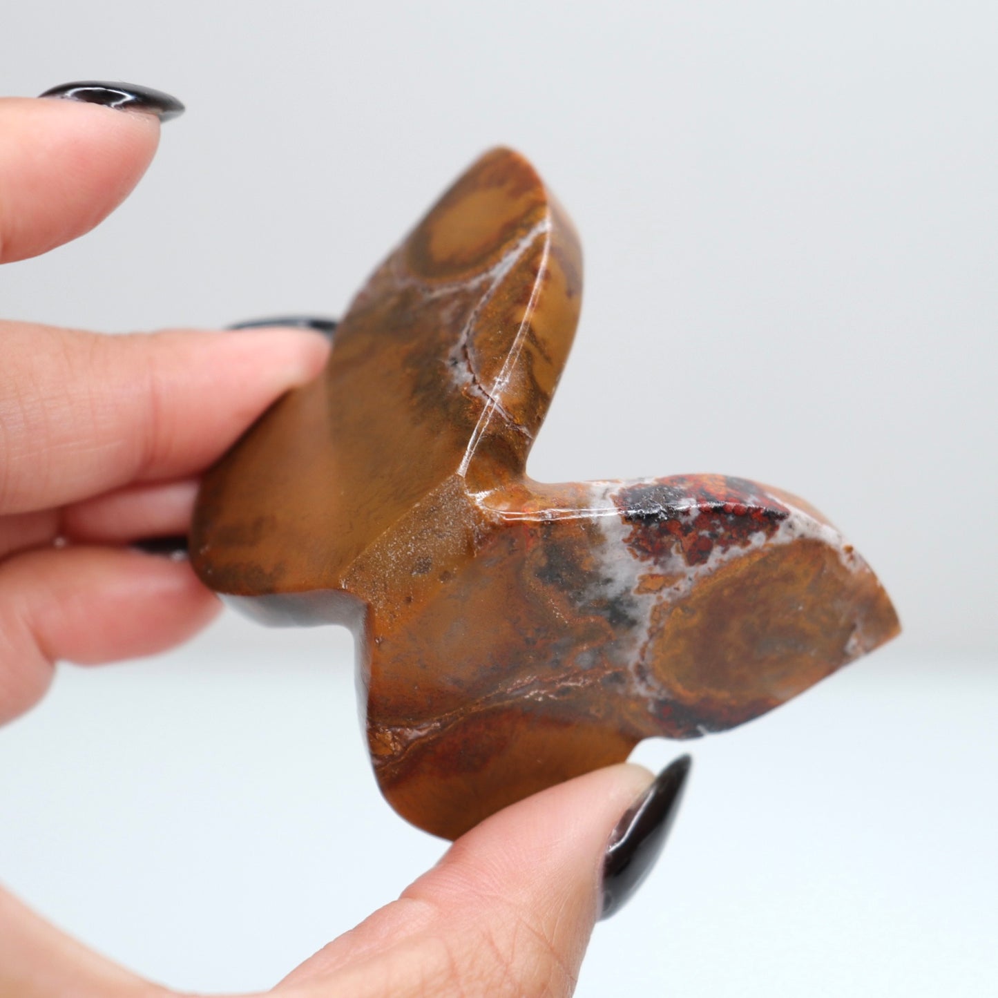 Cobra Jasper Butterfly 3