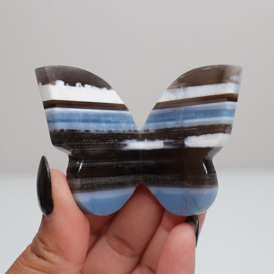 Blue Opal Butterfly 9