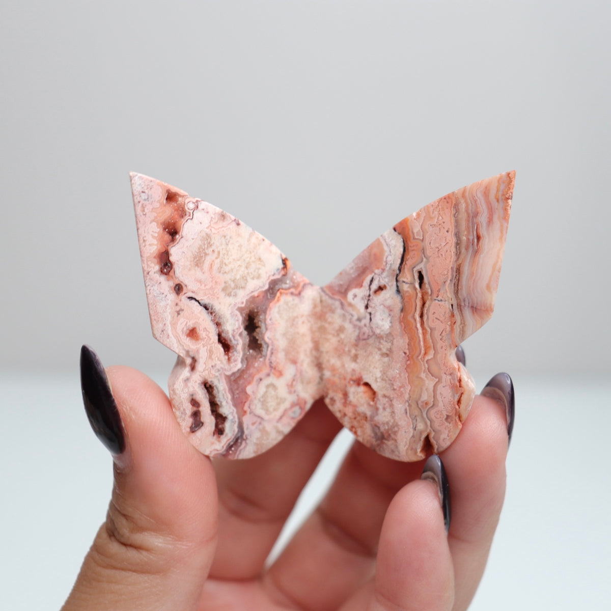 Crazy Lace Agate Butterfly | 22