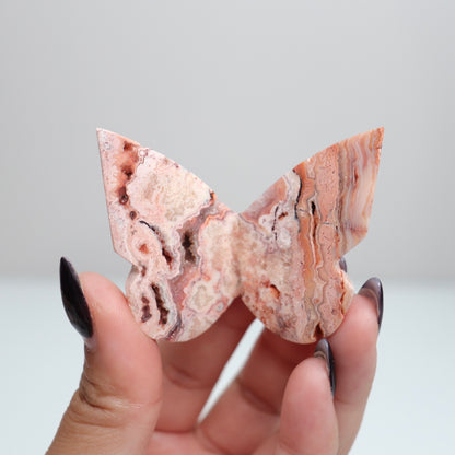 Crazy Lace Agate Butterfly | 22