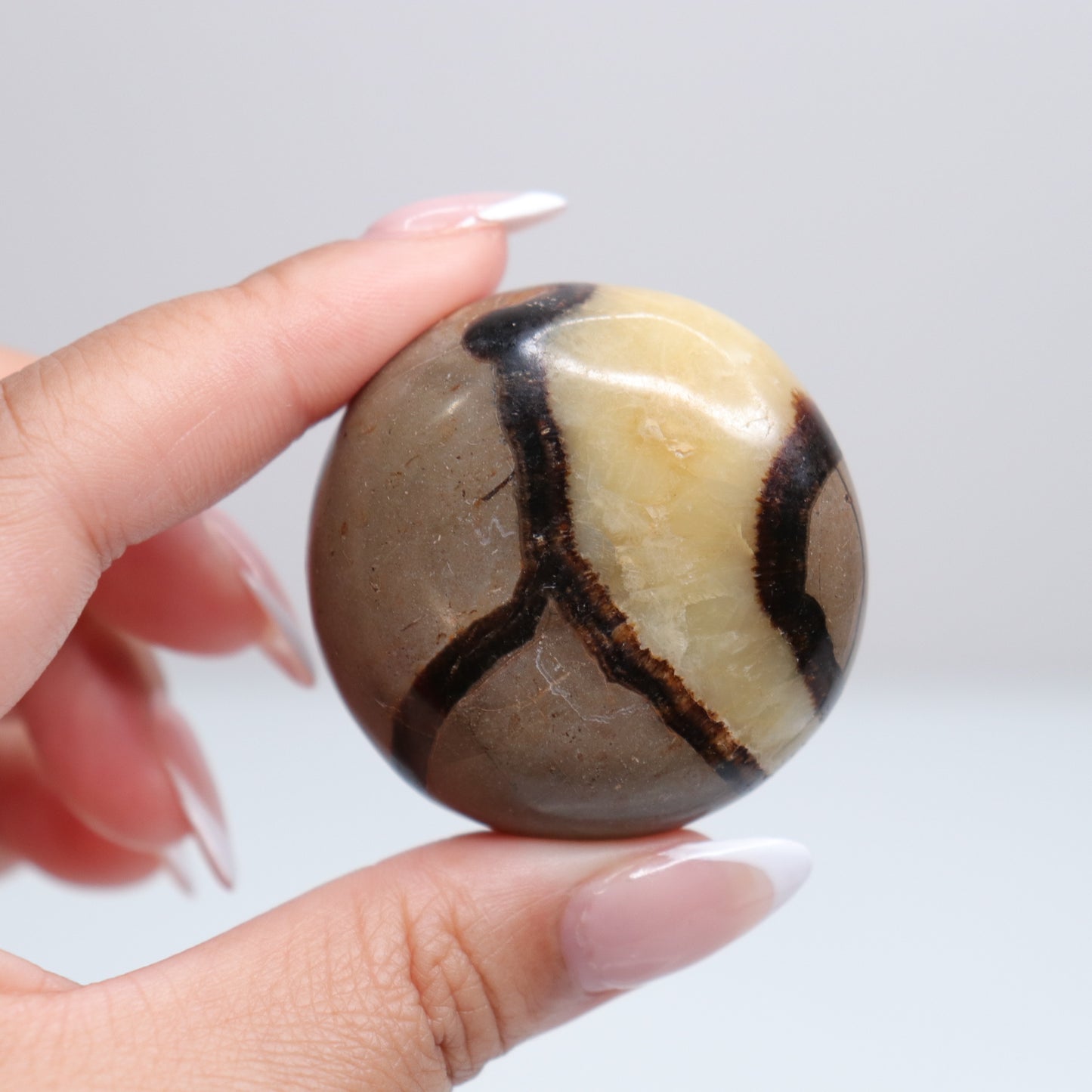 Septarian Palm Stone 79