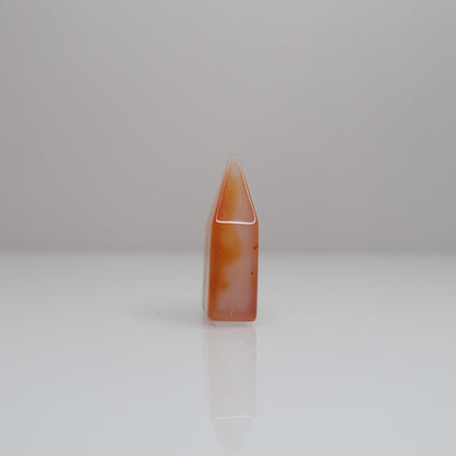 Carnelian Tower | 14