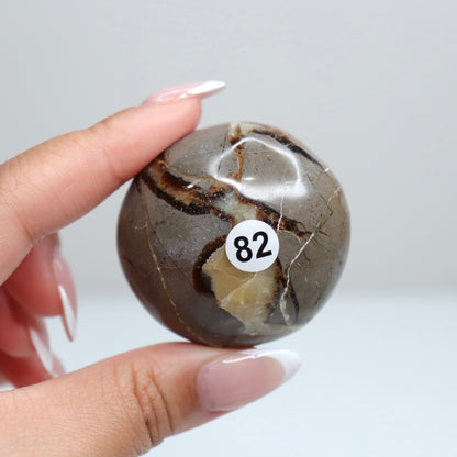 Septarian Palm Stone 82
