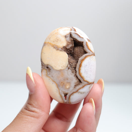 Cobra Jasper Palm Stone | 1 FREE