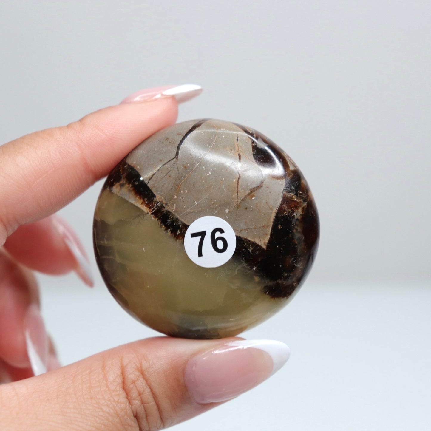 Septarian Palm Stone 76