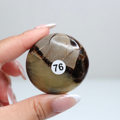 Septarian Palm Stone 76