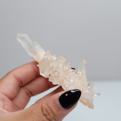 Quartz Cluster  | 24 🎸