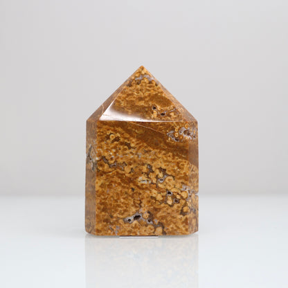Ocean Jasper Tower | 112