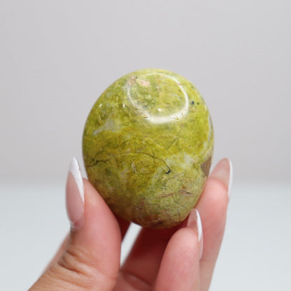 Green Opal Palm Stone 41