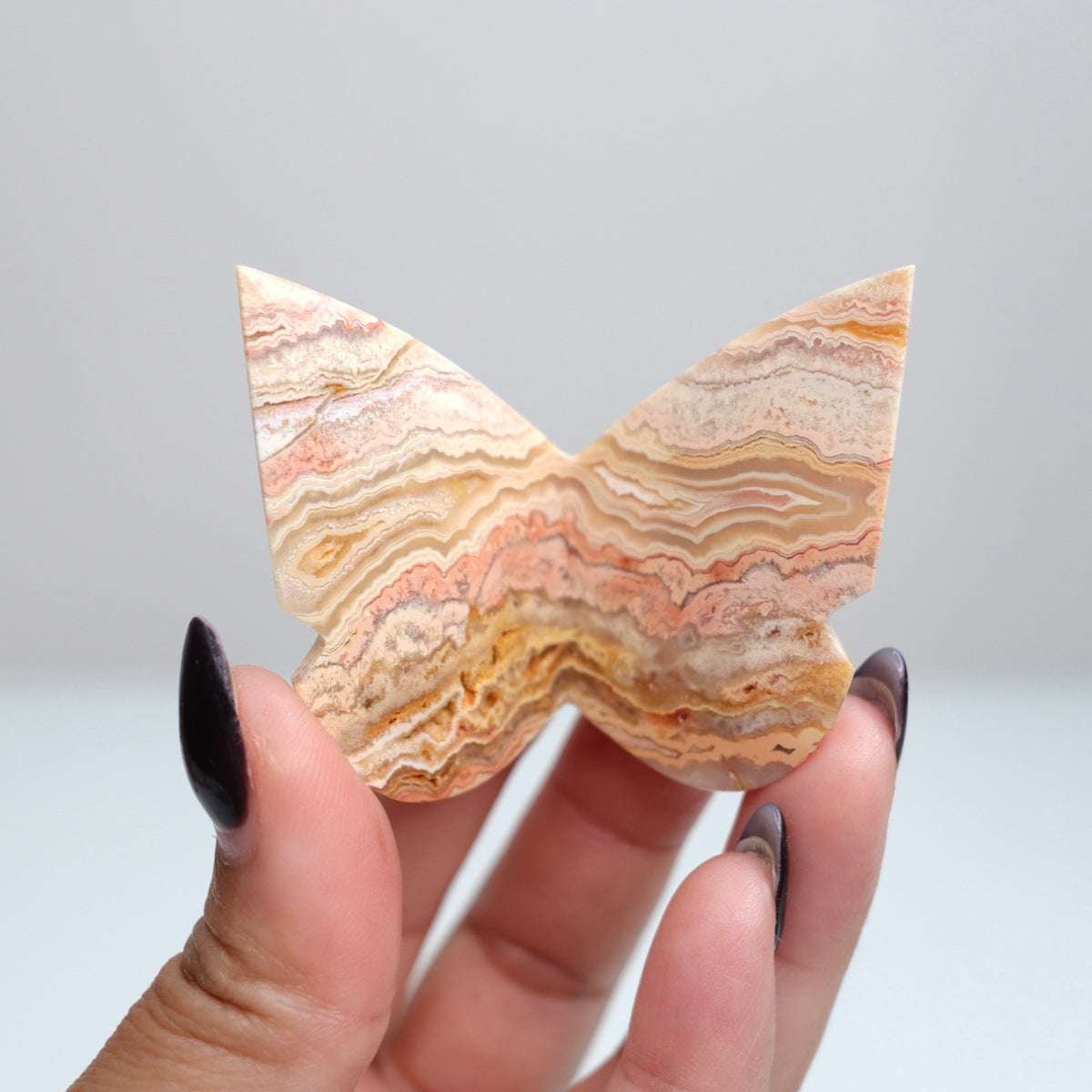 Crazy Lace Agate Butterfly | 3