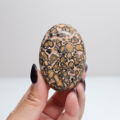 Leopard Skin Jasper Palm Stone | 21