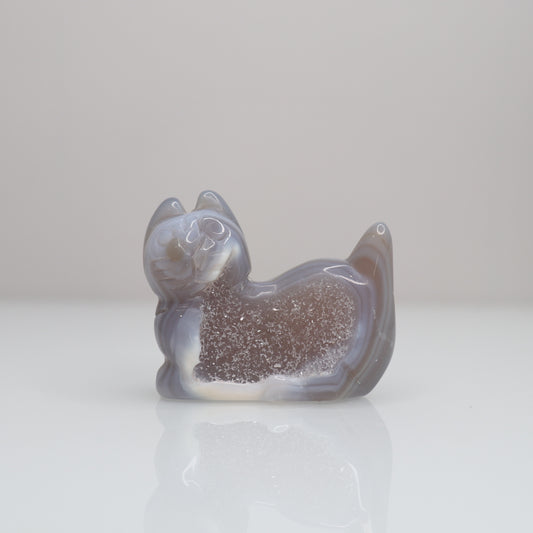 Druzy Agate Cat | I