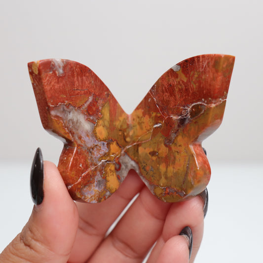 Cobra Jasper Butterfly 5