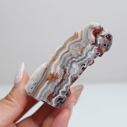 Laguna Lace Agate | D