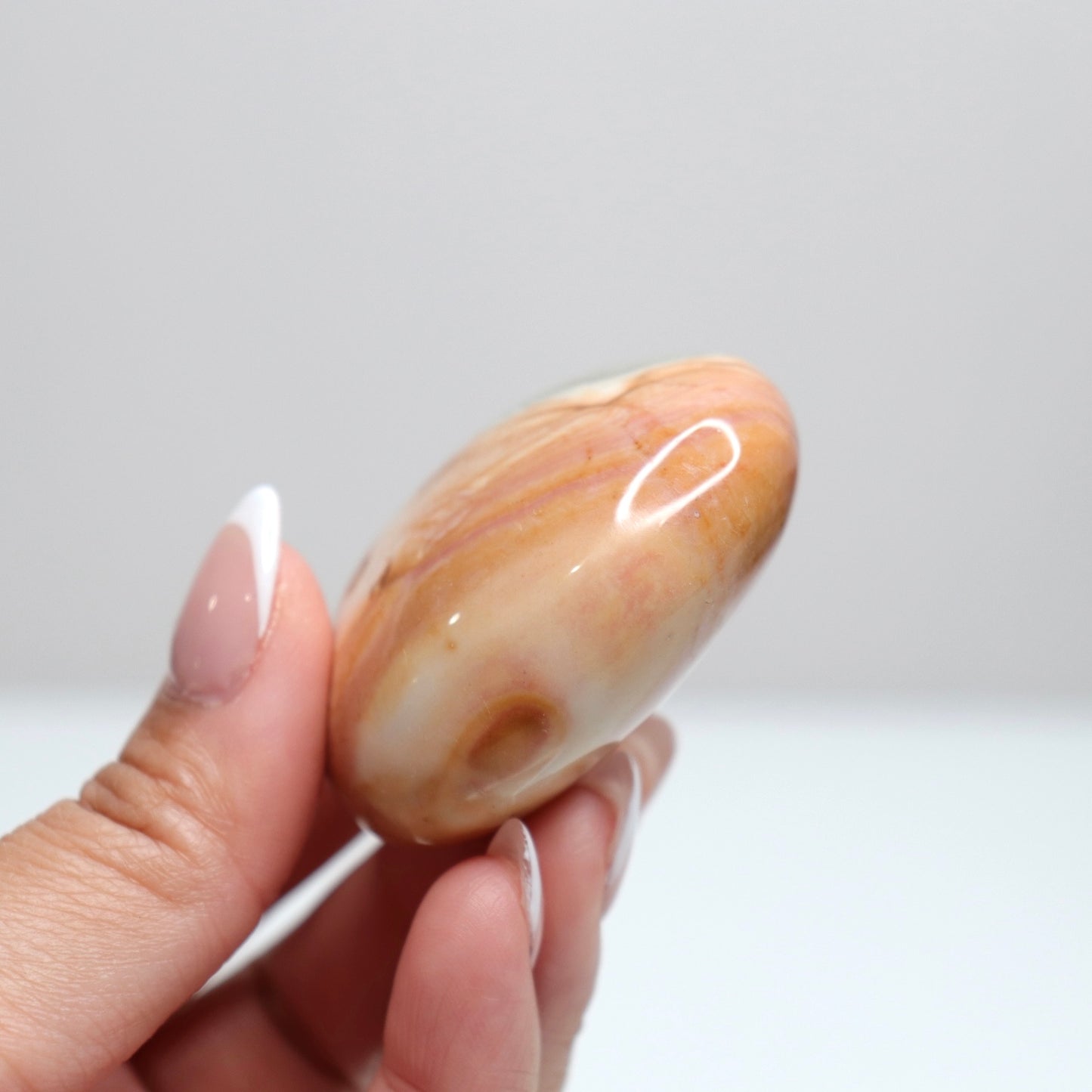 Polychrome Jasper Palm Stone | 16