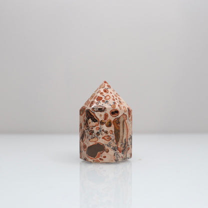 Leopardite Tower | 7