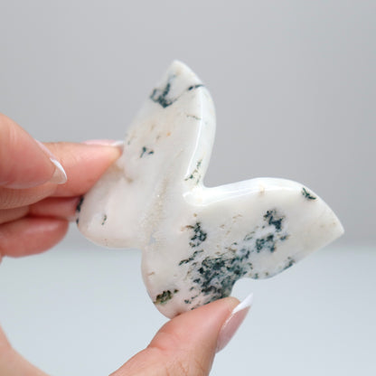 Tree Agate Butterfly C