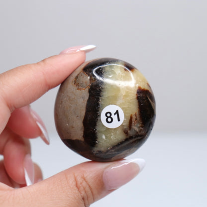 Septarian Palm Stone 81