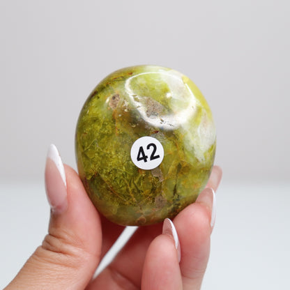 Green Opal Palm Stone 42