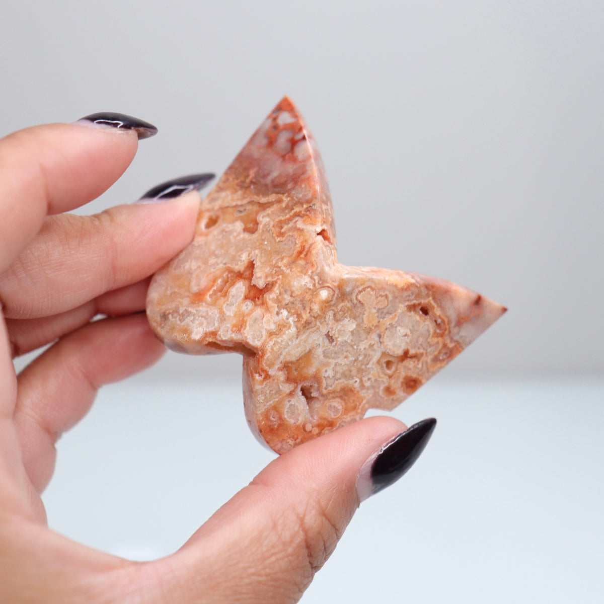 Crazy Lace Agate Butterfly | 29