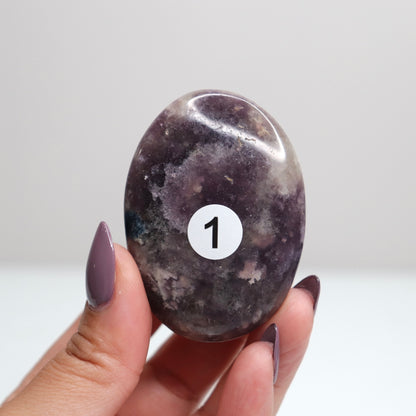 Unicorn Stone Palm Stone 1