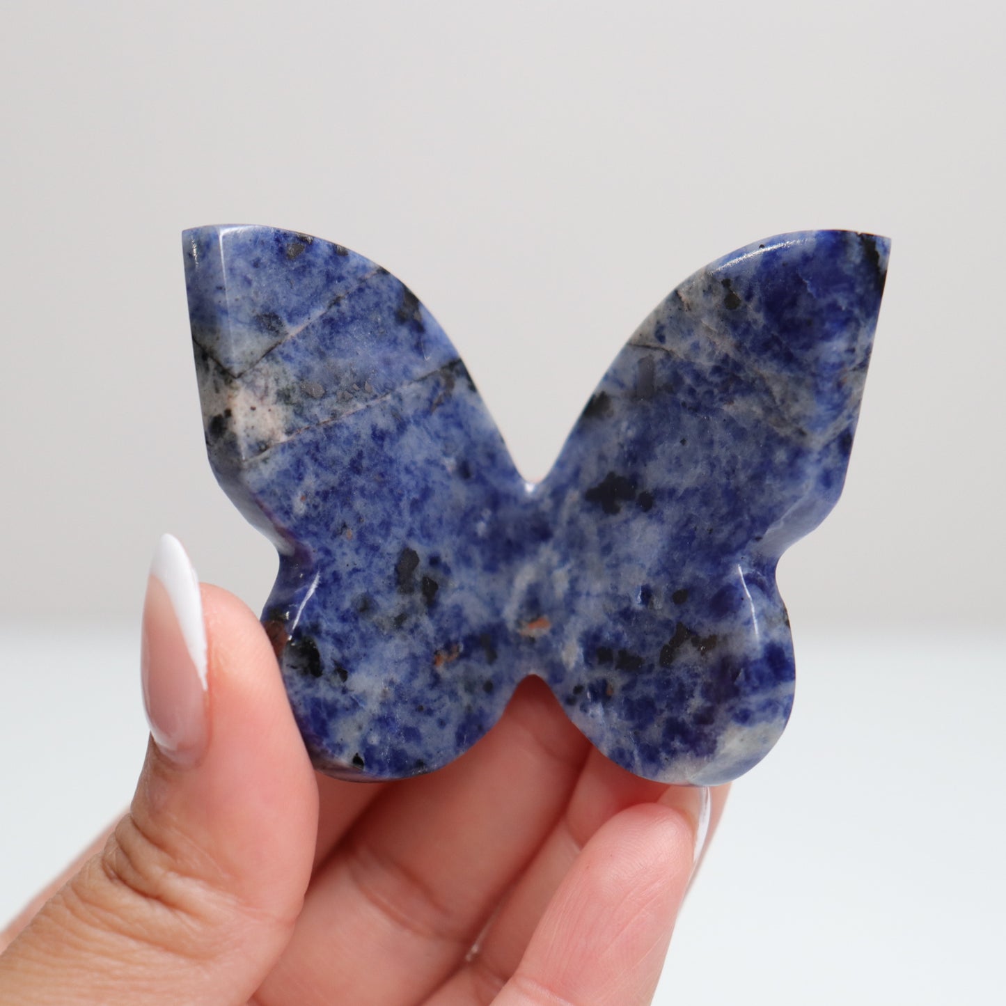Sodalite Butterly F