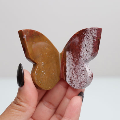 Jasper Butterfly 2
