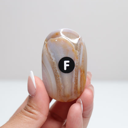 Banded Agate Palm Stone | F