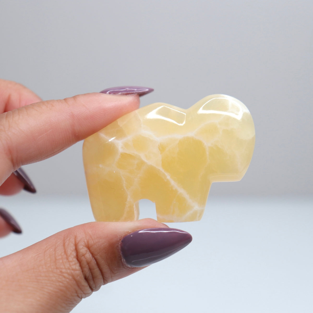 Honey Comb Calcite Buffalo 21