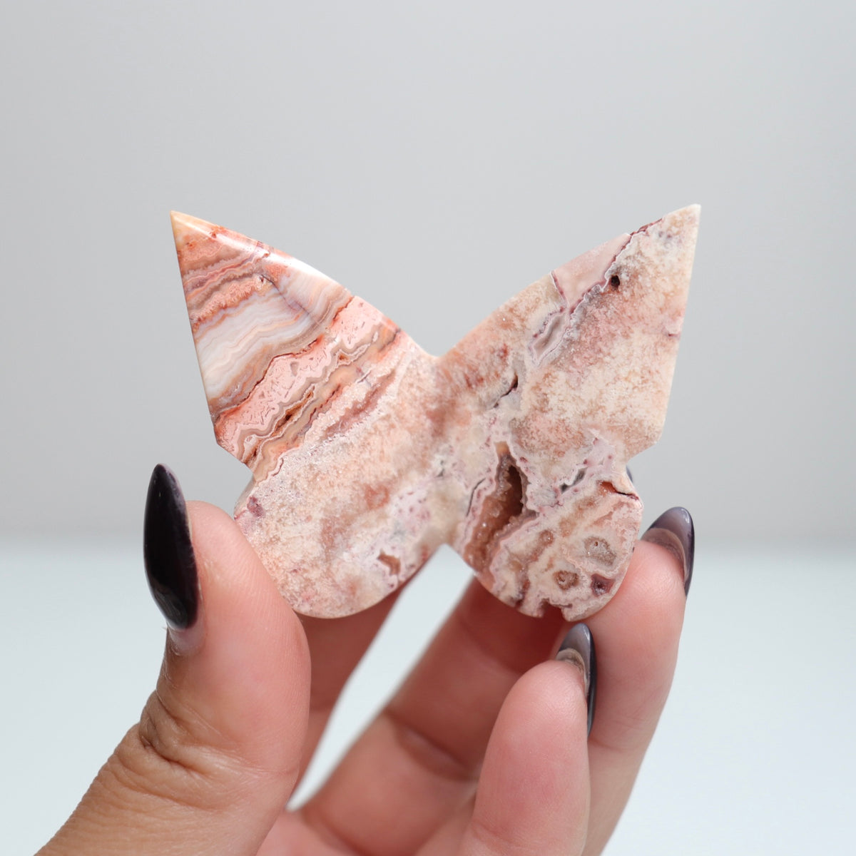 Crazy Lace Agate Butterfly | 11
