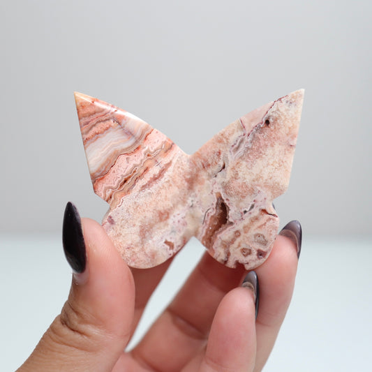 Crazy Lace Agate Butterfly | 11