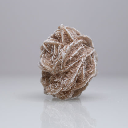 Desert Rose Cluster | 2