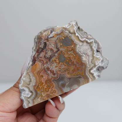 Laguna Lace Agate | K