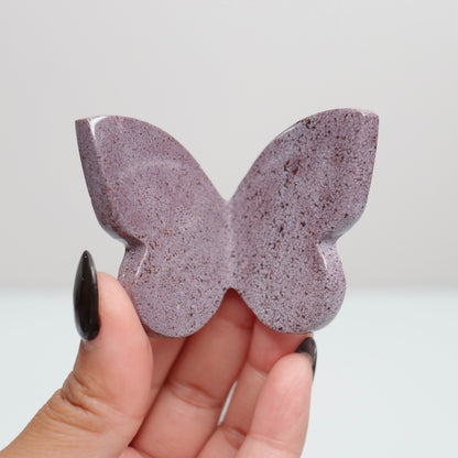 Jasper Butterfly 4