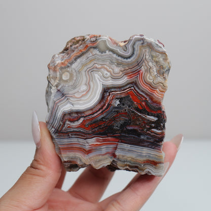Laguna Lace Agate | N