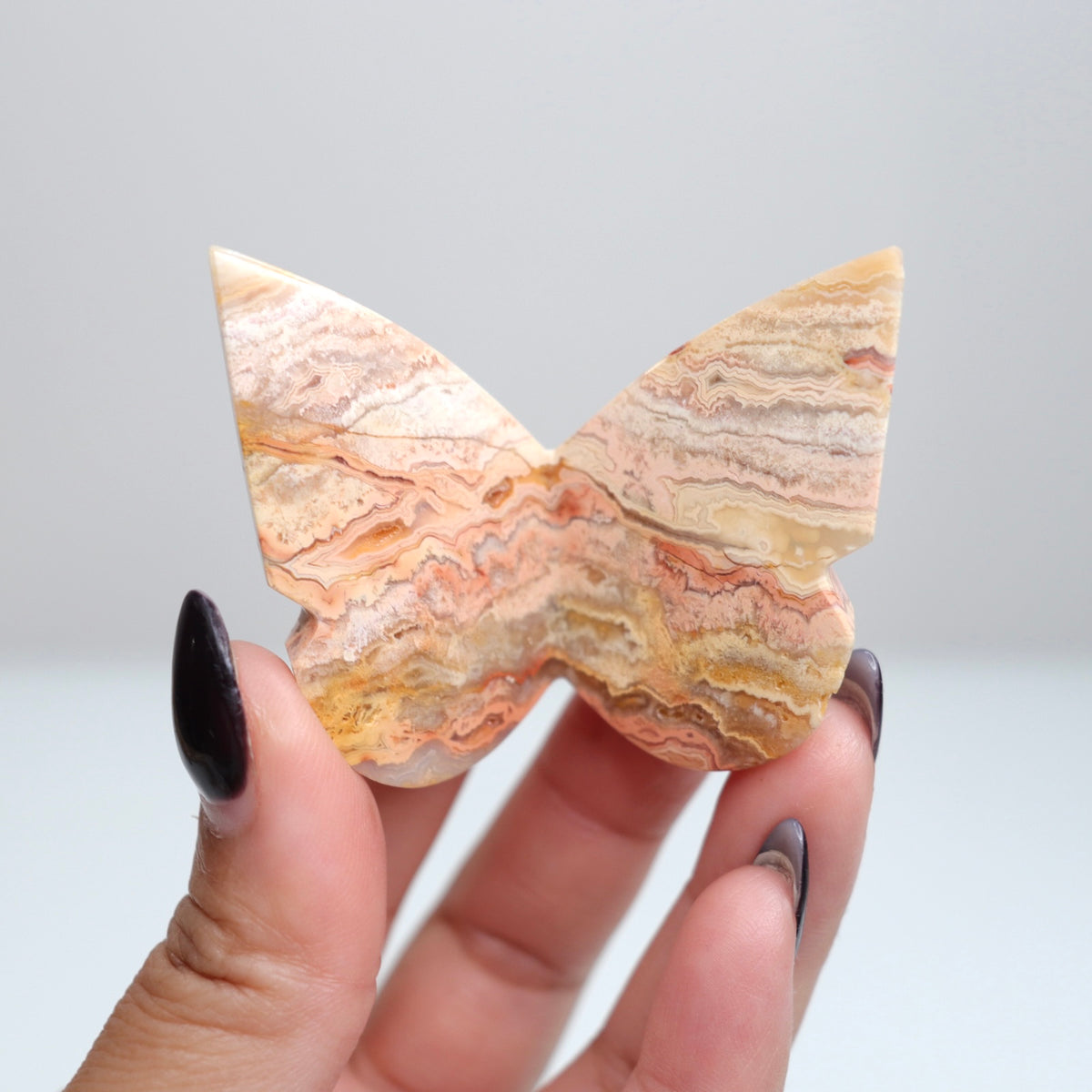Crazy Lace Agate Butterfly | 2