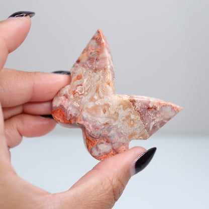 Crazy Lace Agate Butterfly | 27