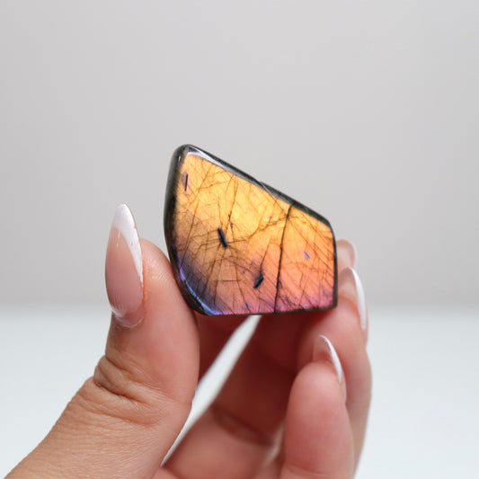Labradorite Freeform | 11