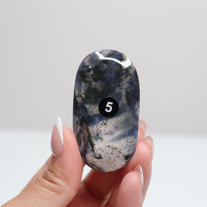 Sea Jasper Palm Stone | 5