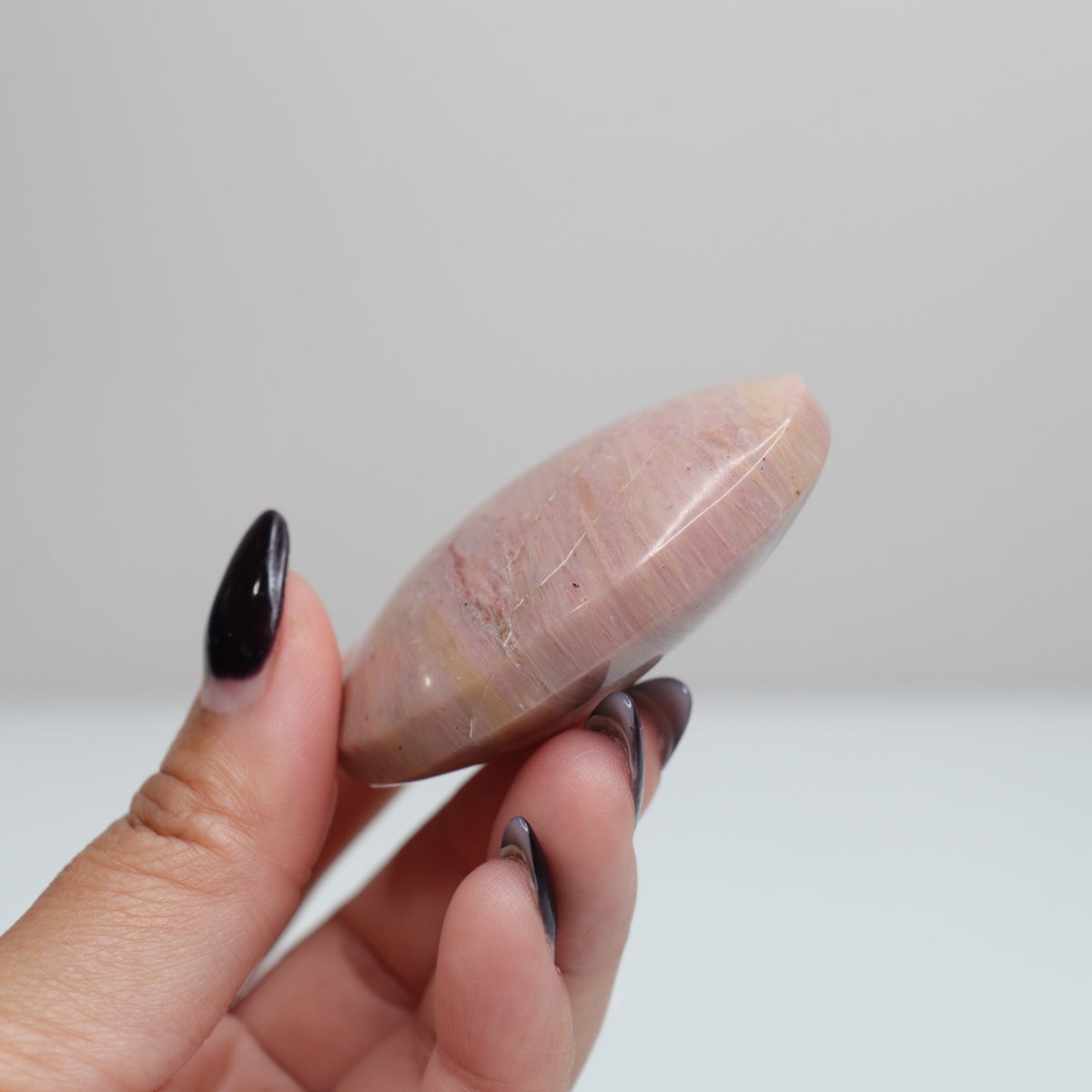 Pink Petrified Wood Palm Stone | 162