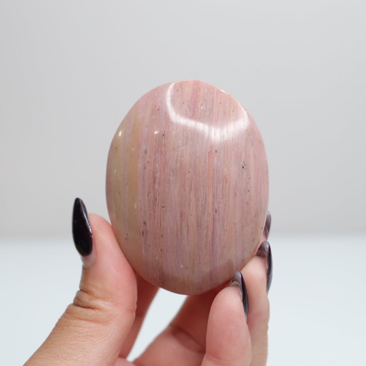 Pink Petrified Wood Palm Stone | 165