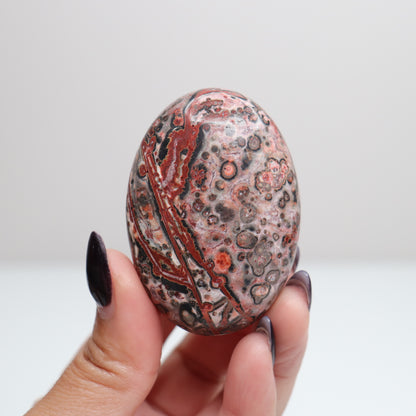 Leopard Skin Jasper Palm Stone | 28