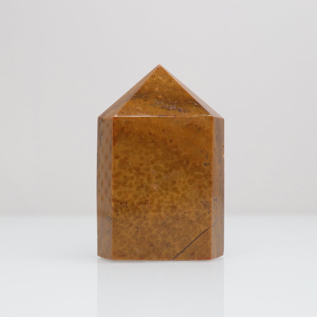 Ocean Jasper Tower | 116