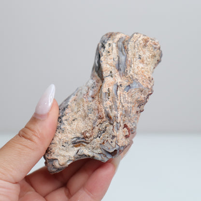 Laguna Lace Agate | F