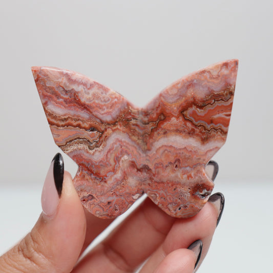 3D Pink Lace Agate Butterfly | N