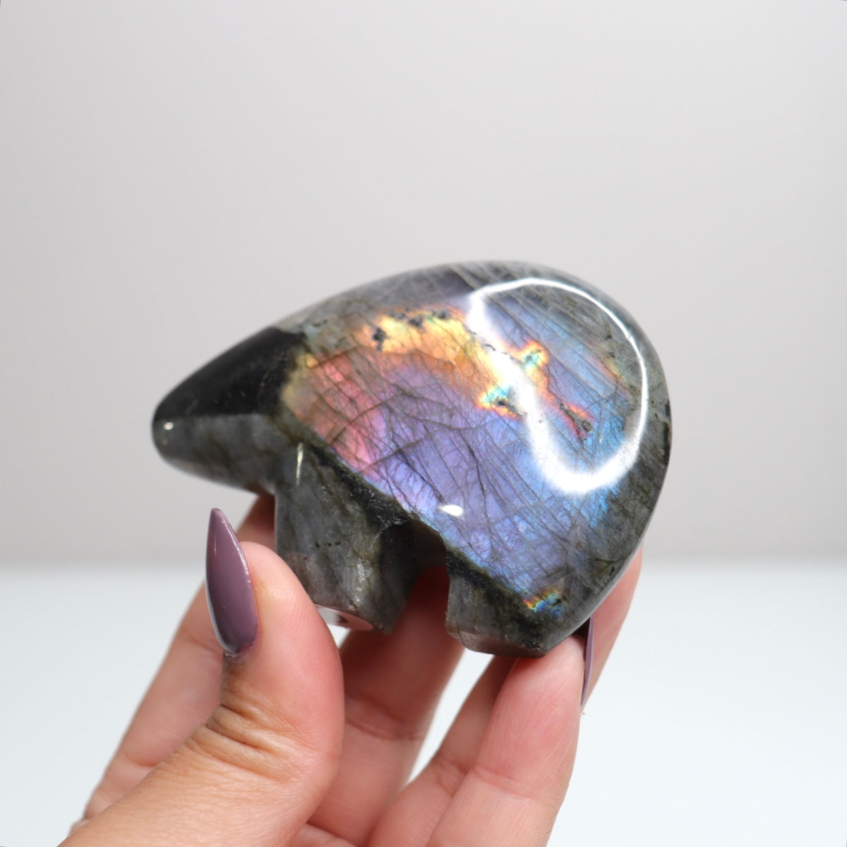 Labradorite Bear 6
