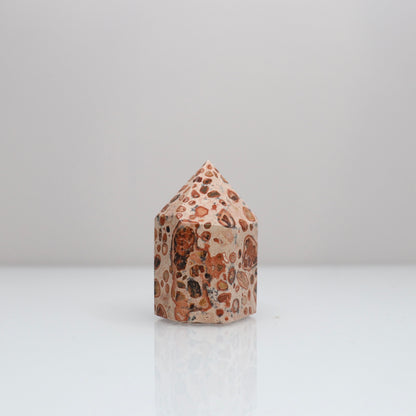 Leopardite Tower | 7