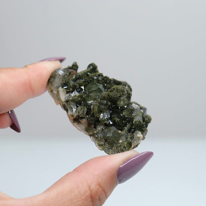 Epidote & Quartz 16
