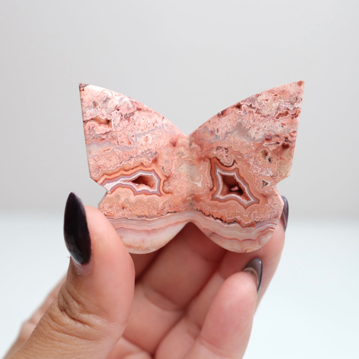 Crazy Lace Agate Butterfly | 18